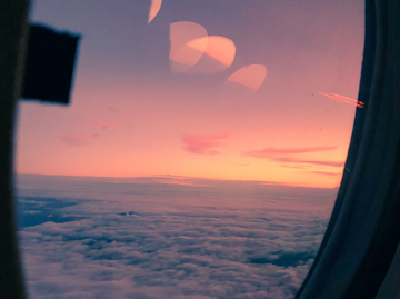 From Road Trips to Flights